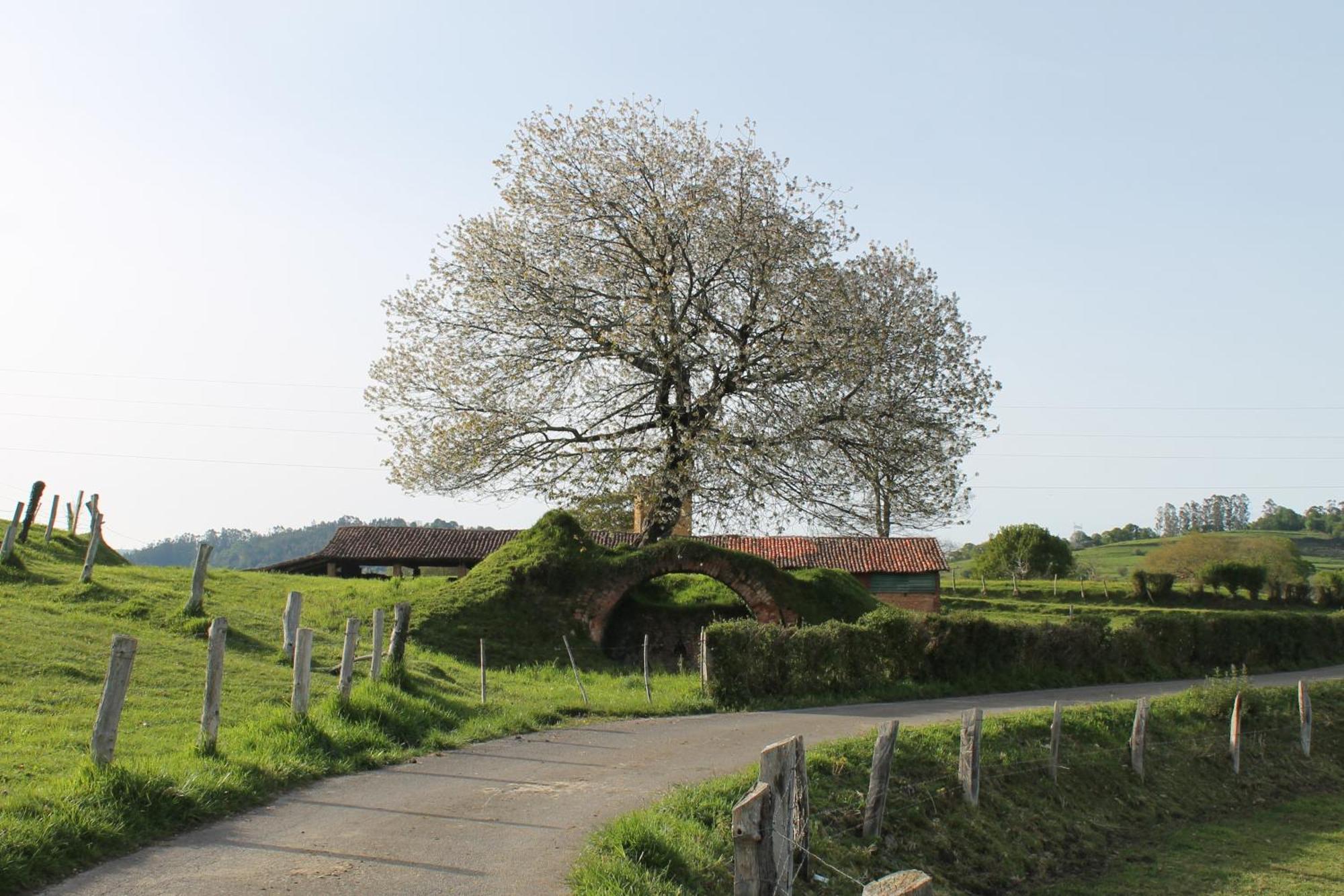 Casa De Aldea Monga 9 En Nava, Asturias Exterior foto
